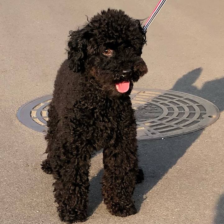 3562af3f 6a3a 4ce9 a941 699f700e65bf 1532121618816