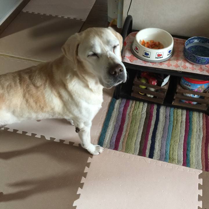 35631771 bbe9 4cf4 8ca6 27ef4e834fe9 1543979443483