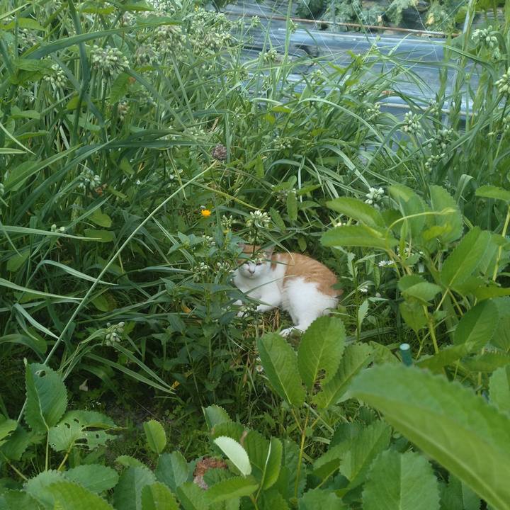 35632d39 121f 4e61 b09c 14dd8edeb09f 1750496396138