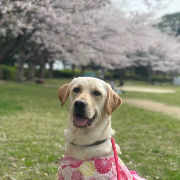 356377cd 5c73 470c b49a 6af92961b6a7 1648558415537