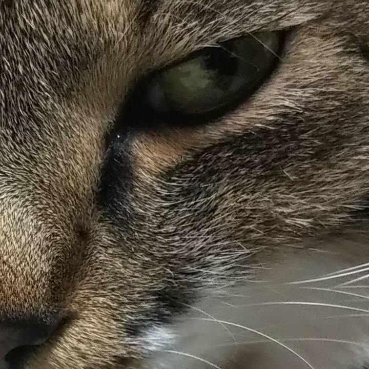 3563aa65 b751 449e bebe b547d366772f 1607057486367