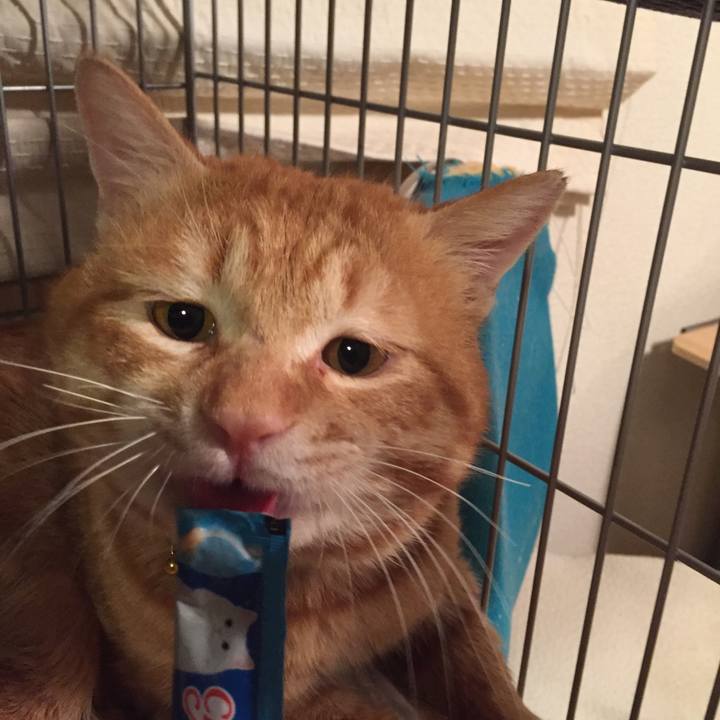 3563b937 254c 4c1d 8a1c cac1956c6460 1520342616650