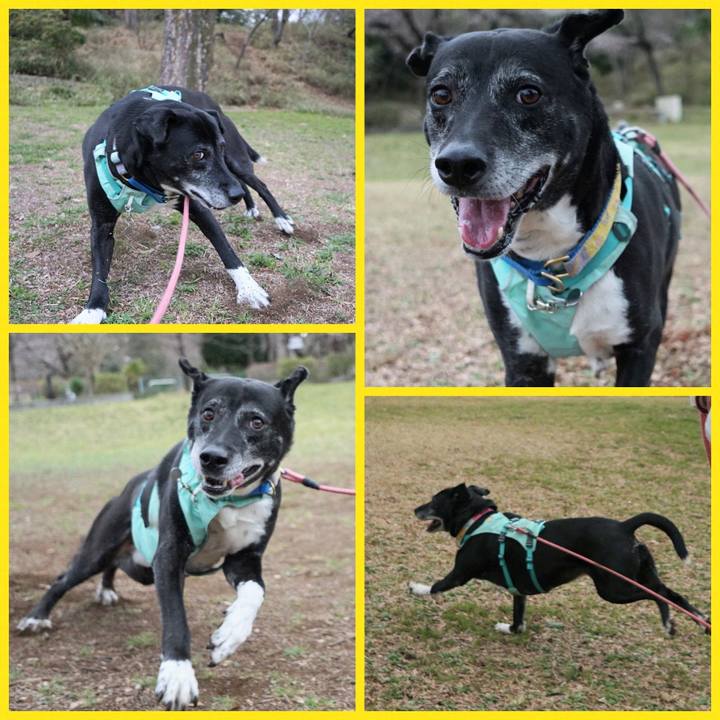 3563f7d8 df85 4fd2 b37a 9612ccb01977 1773967039460