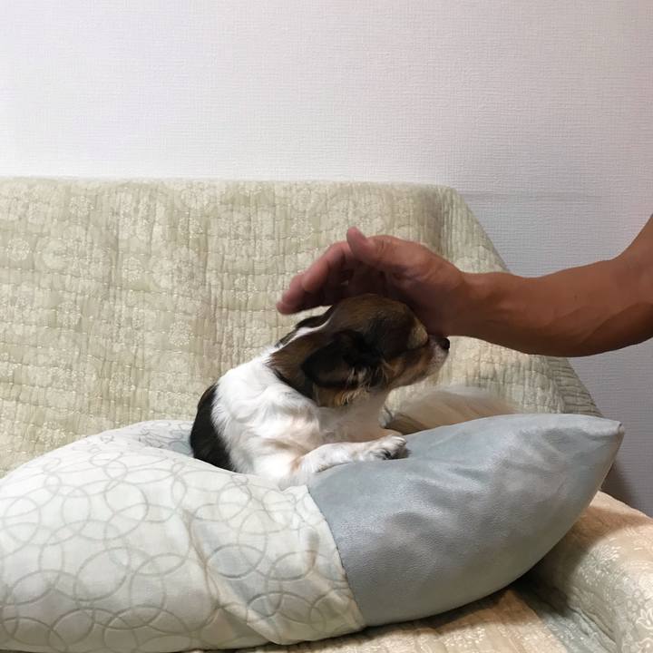 3564040e a6c0 4821 8d9b d2c345f4ae46 1542028054020