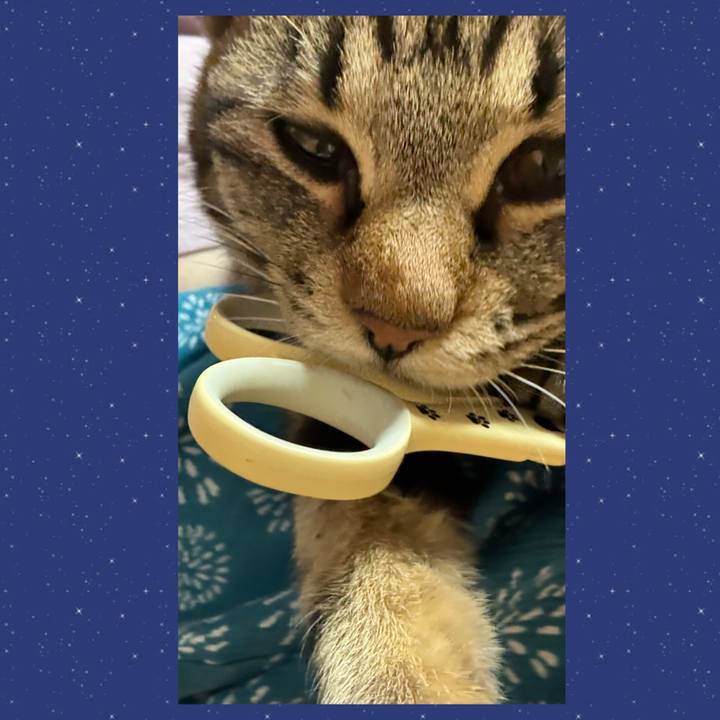 35644dde 8758 46e6 ba5d 66ba26965c4b 1749293376353