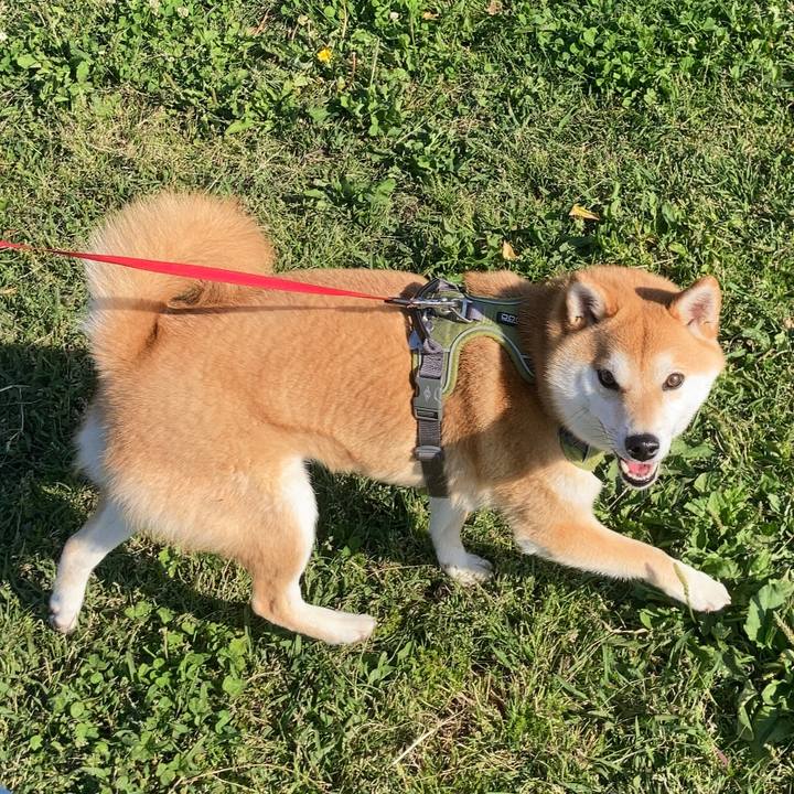 35644ea3 61dd 4692 ab9f 3a0cf91b15be 1683178021112