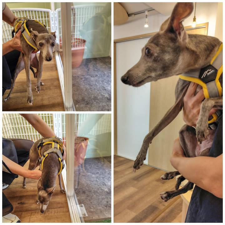 35647084 1376 4b56 8c75 6187b6039ecf 1775036762800