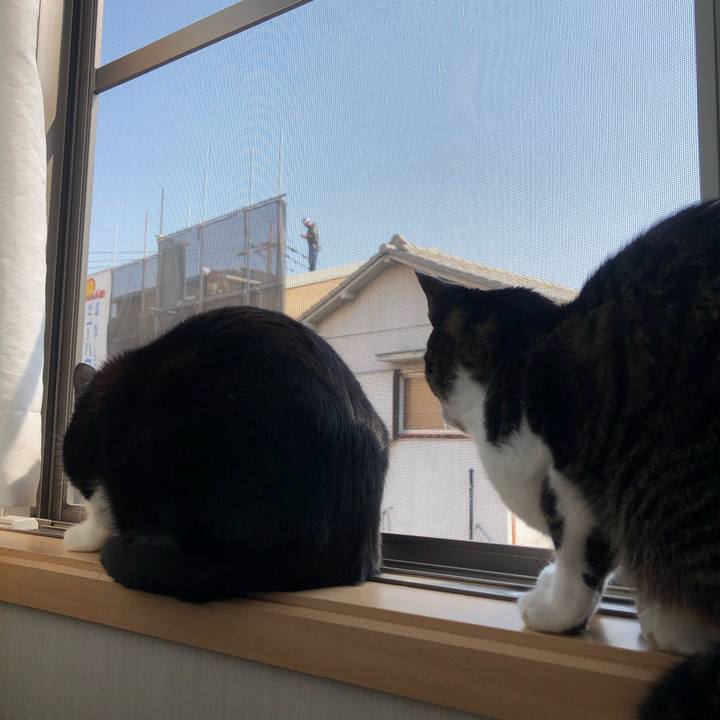 35649b10 a4b0 4dc5 82f8 46b56d6707d2 1647032590923