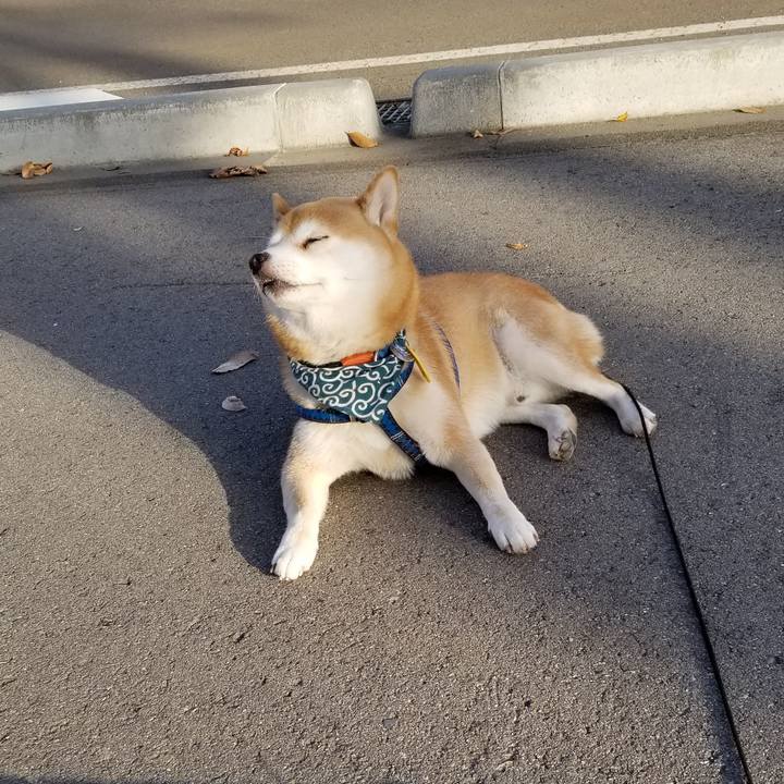 3564a05e 6c16 4aa2 ac30 69861a87a2df 1543472054200