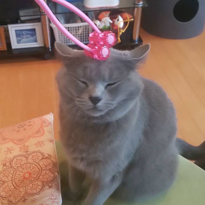 3564b657 b584 4bfe 90be 407a174f1665 1595469199382