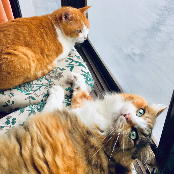 3564bfb7 dbe8 4d31 a9b8 c0e2e7ca26c0 1562472148090