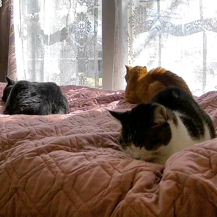 3564c447 4828 4229 974b dc4b10a5e421 1769272857744