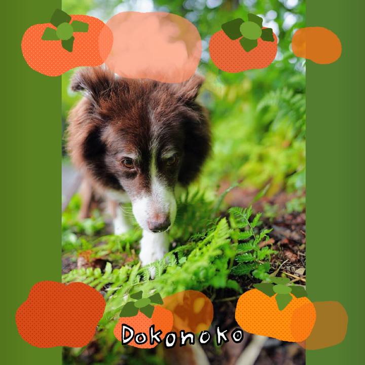 3564cd43 42bc 4d85 840b f6c18cf0055c 1761555360222