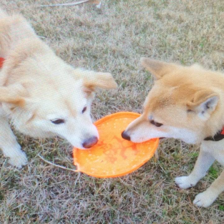 3564e42e 8865 4d43 84db e7933f4cf22d 1763972388152