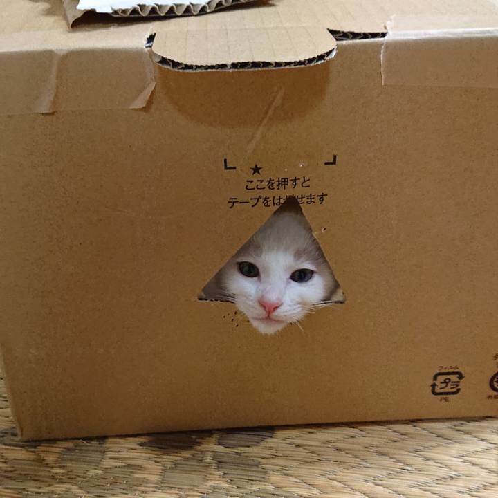 3564e9bd e4fb 4b5a b416 8ceacd734793 1575201341511