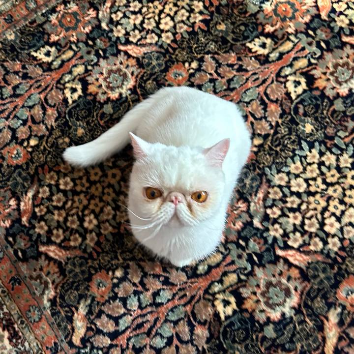 3564ec06 01c0 4442 b233 d99645edf86d 1687912663952