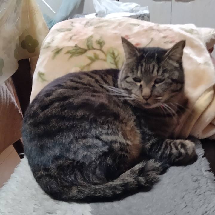 3564f5da ad46 4d6e ba13 043ec3a12a1f 1671684465868