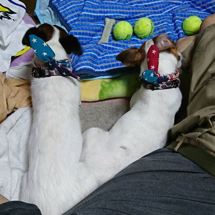 3565441a 76a3 4a7b a7ec 2a3d72be688f 1532353382355