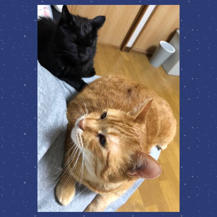 356558d3 f527 4d88 84cc f9cf846c46c3 1590668174990