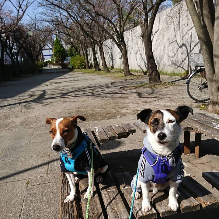 35655daa b855 4c6b 944b d6ca303b4810 1615940806575