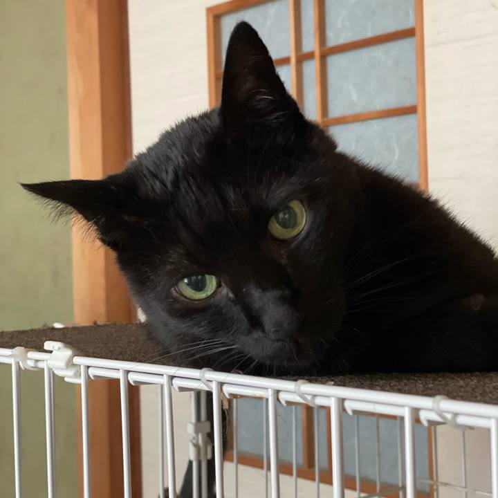 356575eb 83ca 46a7 b655 d7f14aff5a0f 1657756874843