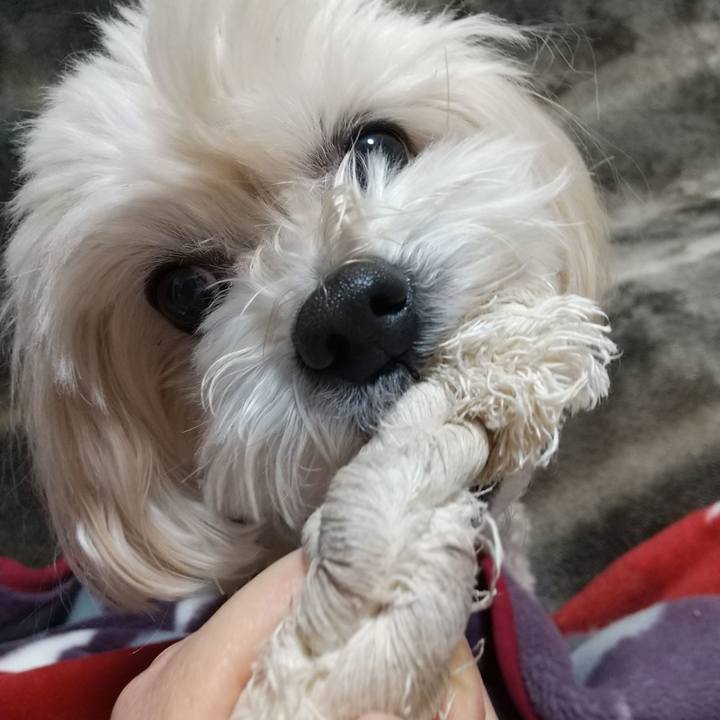 3565c30e 1067 45a7 9c0e e69830ec57dc 1610623615097