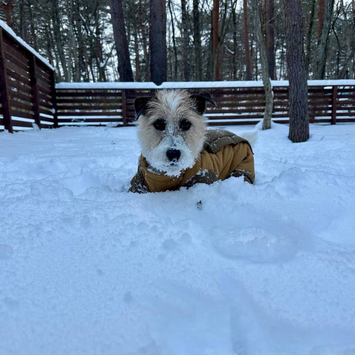 3565fbe8 2b7e 4947 9bd7 06fb399ba51b 1738332895318