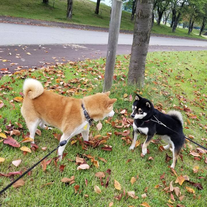 35662f20 1890 4f8f 80ad cd4c6cf70a04 1631429909665