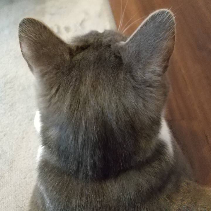 35663148 be57 4cd6 ab86 0476b5c65d27 1615758887303