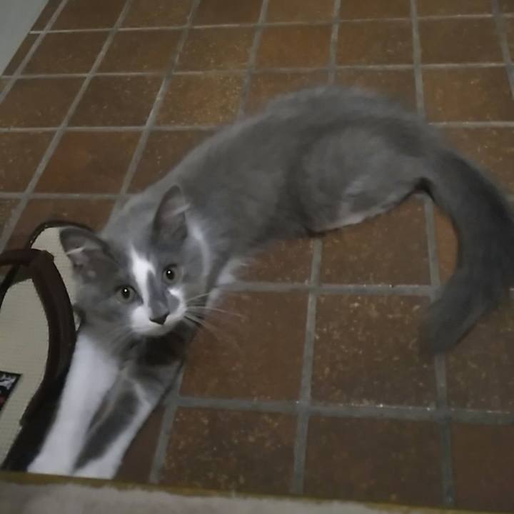 35666600 763e 4574 a516 391b2387c103 1564699484103