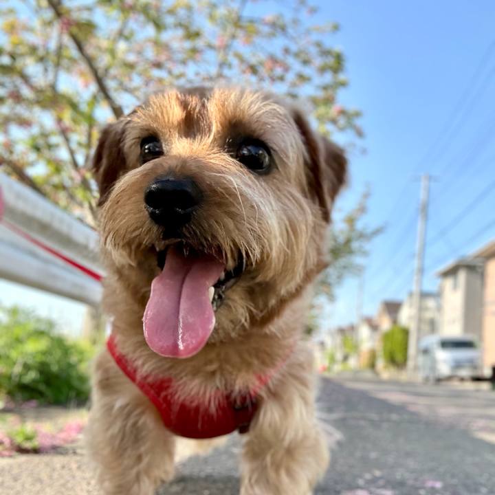 3566b752 e59f 4c10 8931 2660bb0cad2d 1763735237355