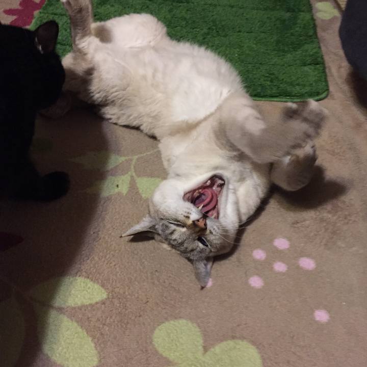 3566e8c8 e0be 4c64 980a 24f187df13bb 1547212769026