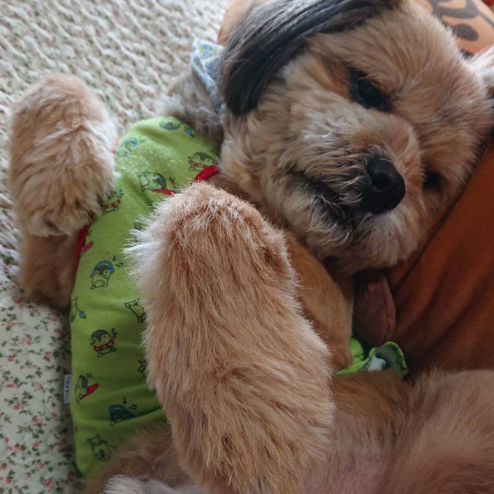 3566ea1d 6db4 461a b74f 2294dcdcce03 1585364928995