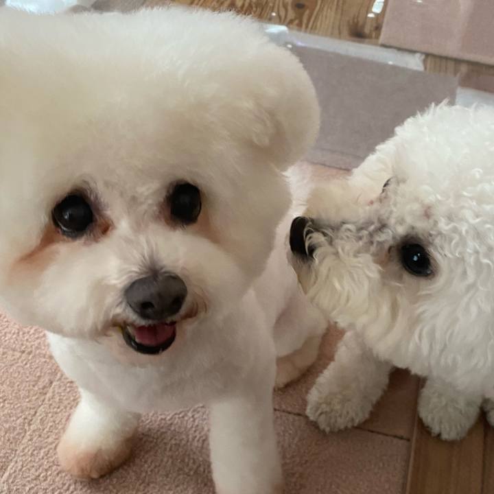 356707bd 18e5 4a9d a4d7 edb385cffce3 1771915077259