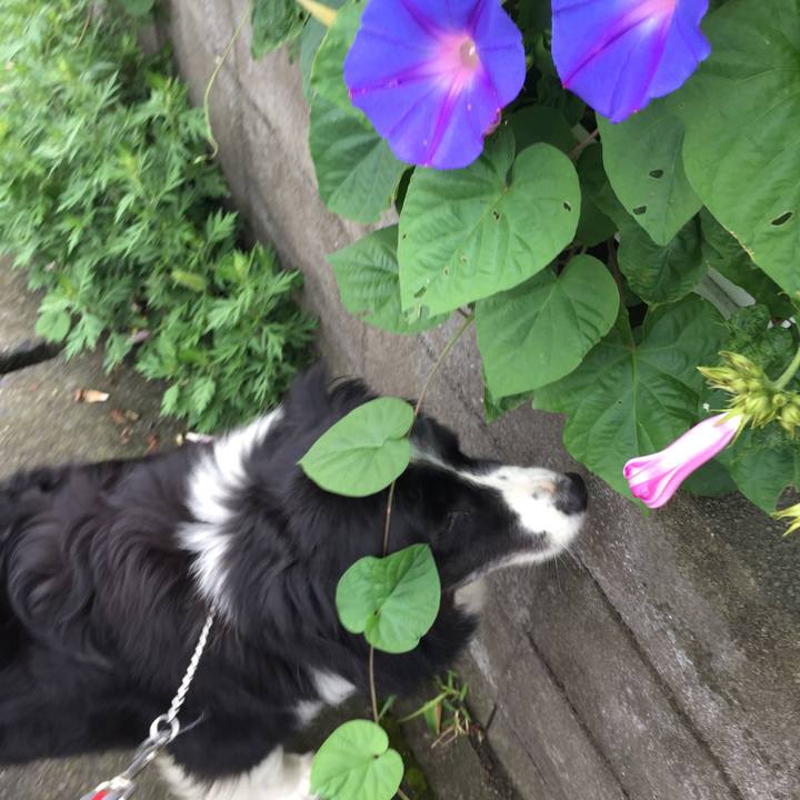 3567174b 1306 4fc9 af16 b670bae358d7 1561855267098