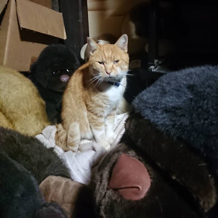 35671a9a ddf3 4186 9519 44fe7efe0cd5 1605528483261