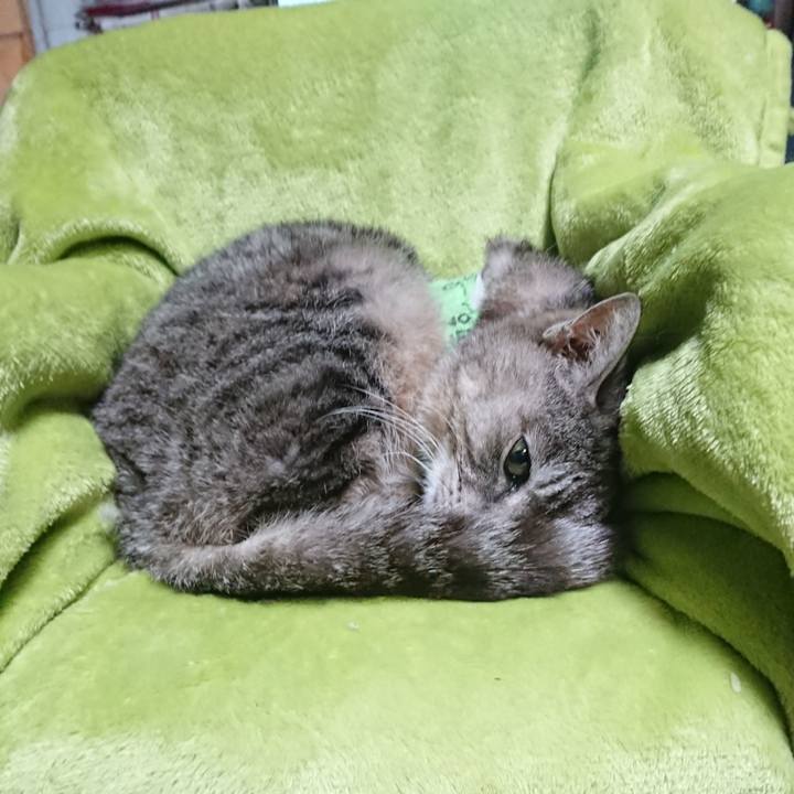 356739db 10f3 4f5b bc35 17cd4c35a780 1587459586733