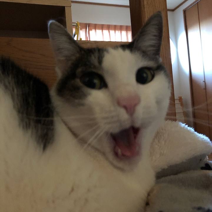 35674602 d712 49eb 800b 6f2da9484655 1642717877864