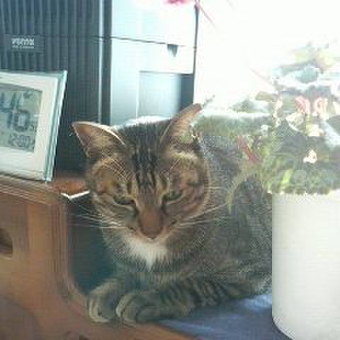 35675583 b41f 42c6 9d4b 9ed45c421f23 1612665774711