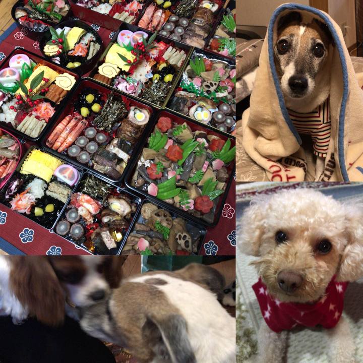 35675ec8 8cfe 4379 9206 245a7468a58c 1514723293269