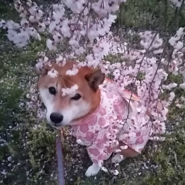 3567bf0e e030 40f6 9c1e e50295958736 1680346097500