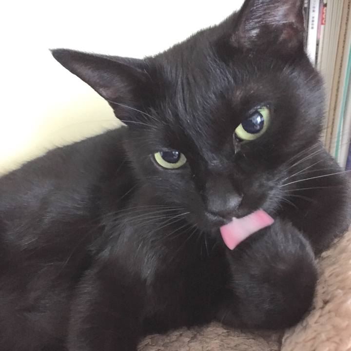 3567d26e 17a1 462d 8187 19a976780d2c 1509852683014