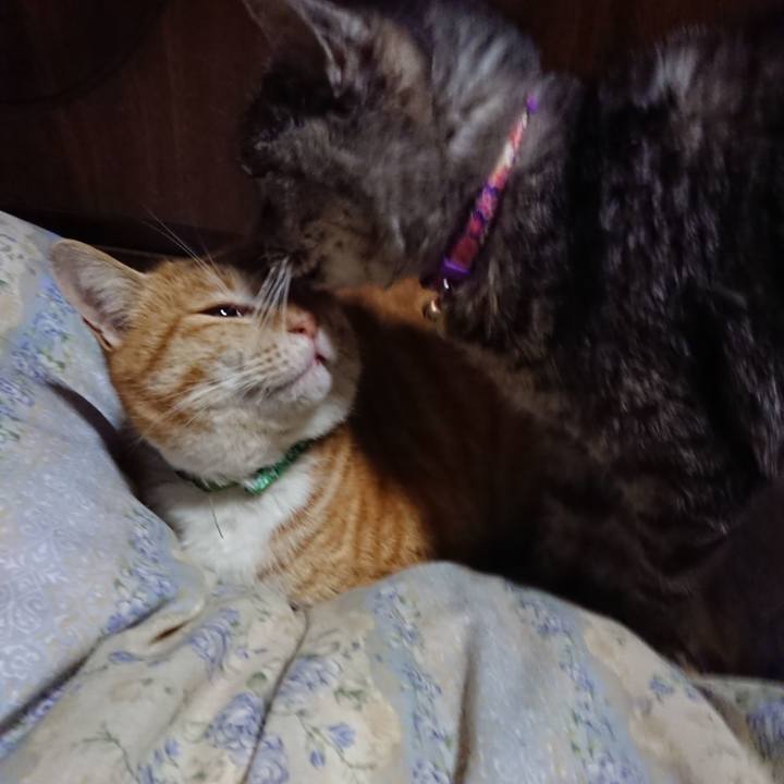 3567eeae e889 4111 bcfe bcfe45520744 1582200275005