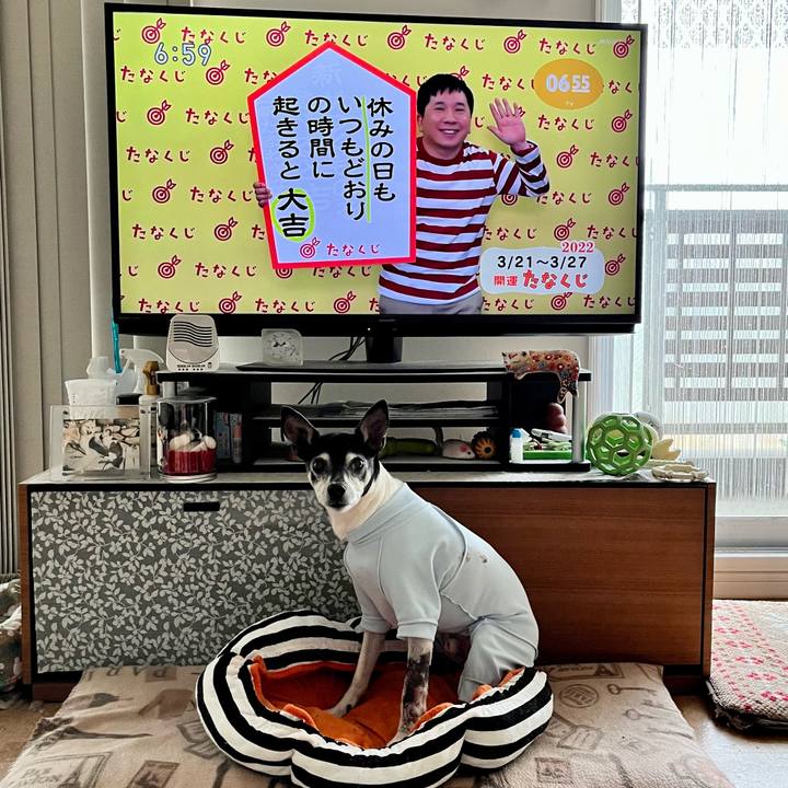 3567f751 3bc4 4a27 b475 bdda0f2a0977 1647817688166