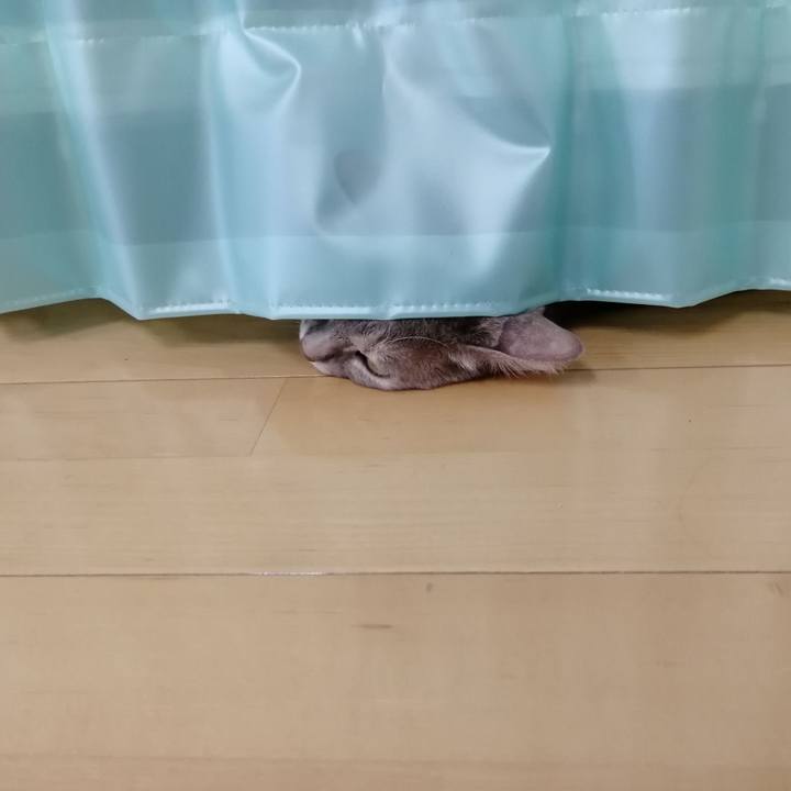 35680ed5 a39a 4af8 aff7 e7ffe556081d 1522804088275