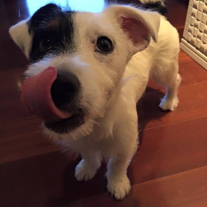 35681b1a 7e5b 4e13 b277 bc8d6e58cd1a 1591655896872