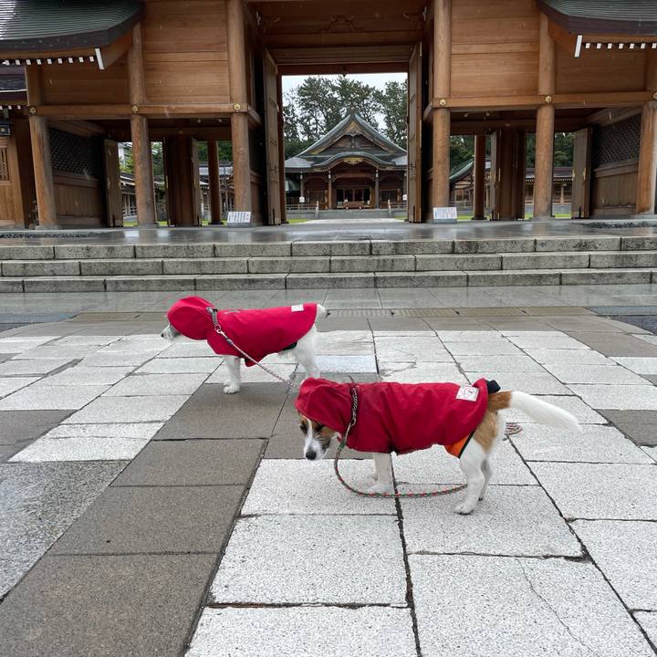 356826d0 c664 4b49 a297 888fd0b79fc7 1654475558509