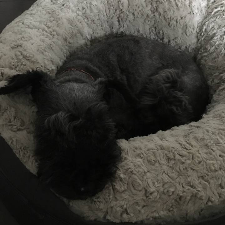 356843b3 c722 4e18 8289 82147d46e30e 1563842623094