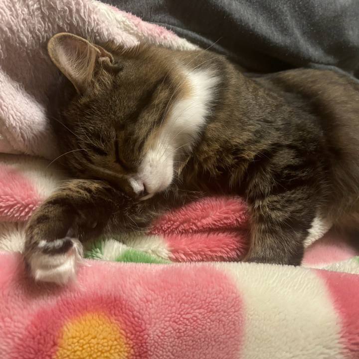 3568907d 5ed5 486e 9870 651cd4c3df05 1732328084643