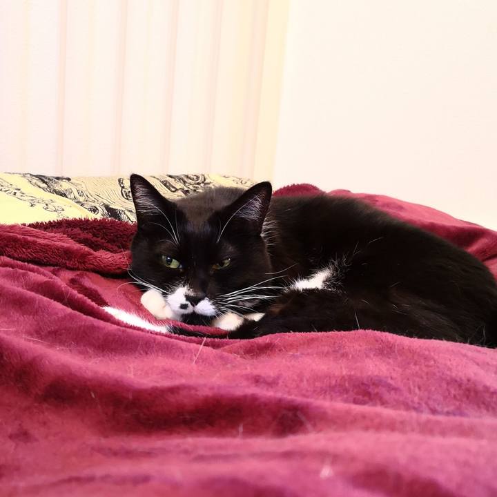 35694874 5e11 45bd a82e 0fc4d94292ba 1543769399009